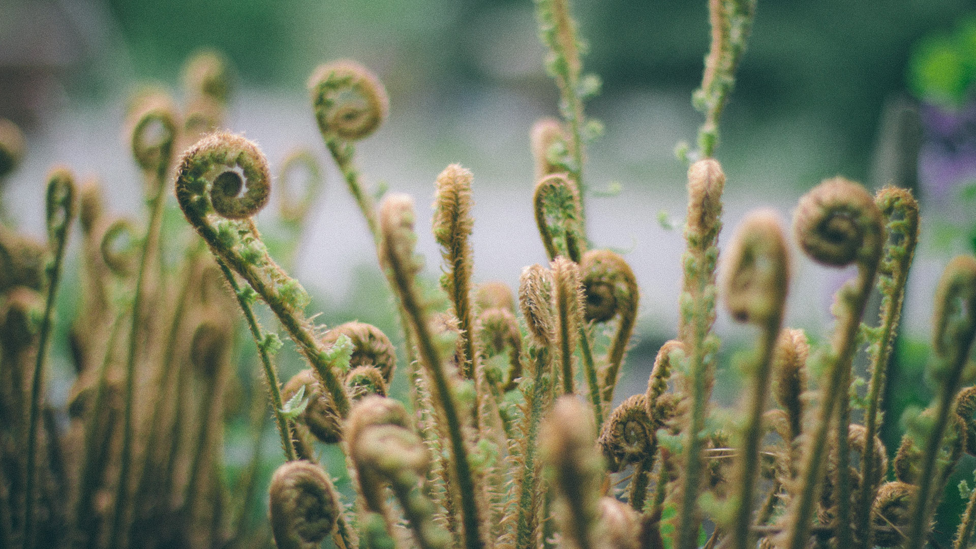 Career connect registration. 