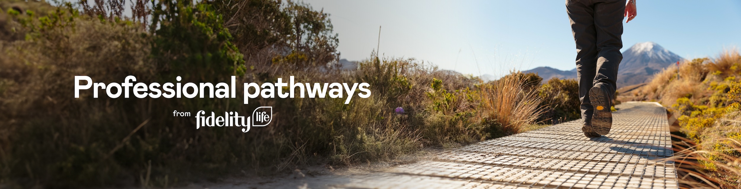 Professional pathways