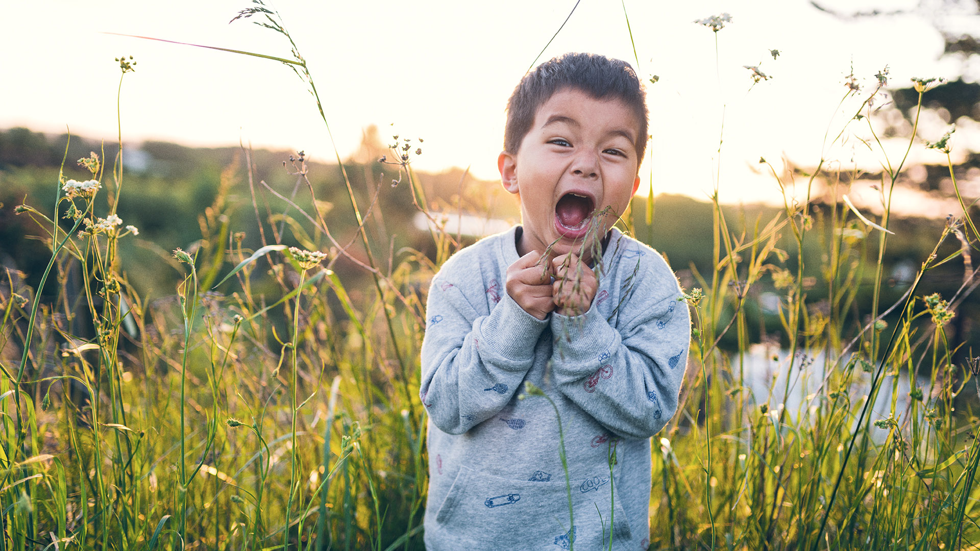 Umbraco.Cms.Infrastructure.PublishedCache.Property